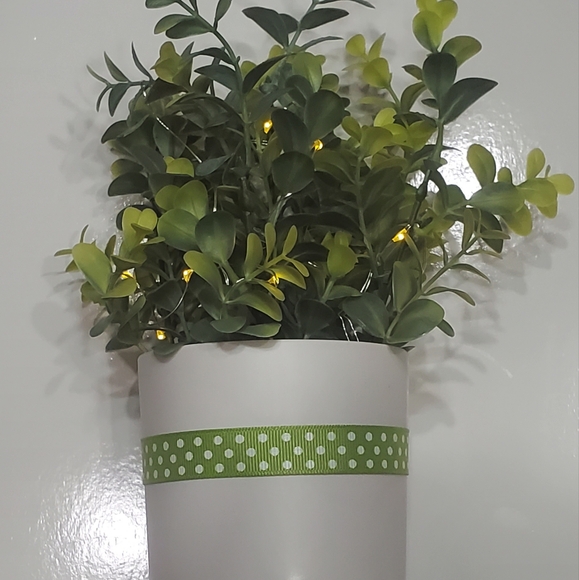 Light Up Plant - Picture 4 of 6